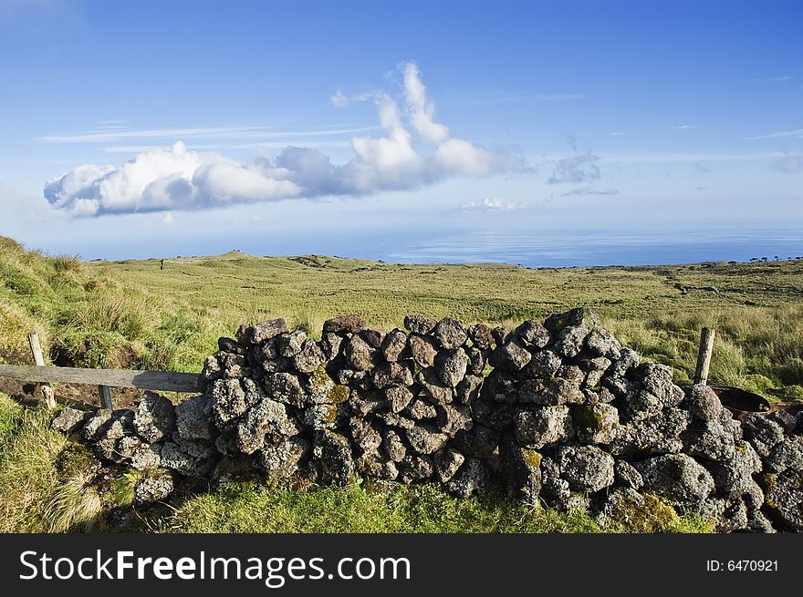 Pasture Landscape Of Pico Island, Azores