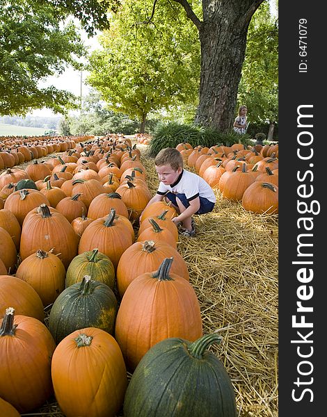 Child looking for the perfect pumpkin to take home. Child looking for the perfect pumpkin to take home