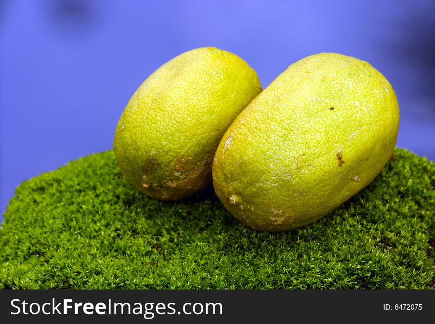 Images of a pair of lemon orange