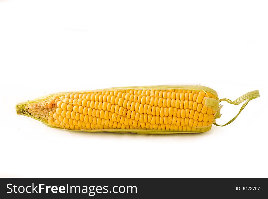 Corn on the cob. photographed on a white background.