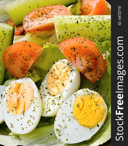 Delicious healthy boiled egg salad with cucumber and lettuce garnished with parsely flakes