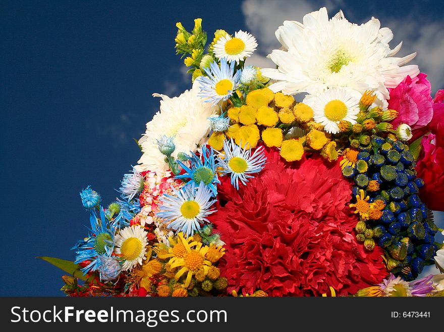 Spring flowers on blue sky background