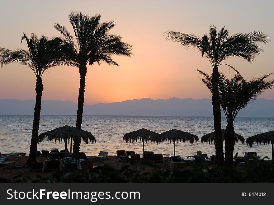 Morning on a beach, deck-chairs cost under palms, a sun did not yet appear from mountains. Morning on a beach, deck-chairs cost under palms, a sun did not yet appear from mountains