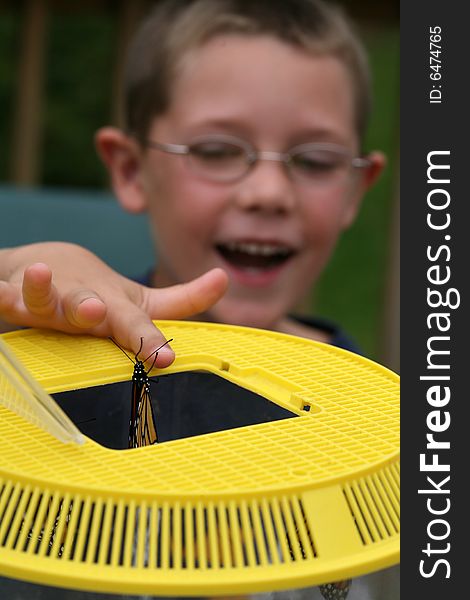 Young boy helping butterfly emerge from cage; selective focus. Young boy helping butterfly emerge from cage; selective focus