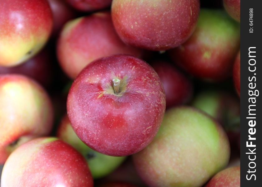 Pretty red and green apples freshly picked