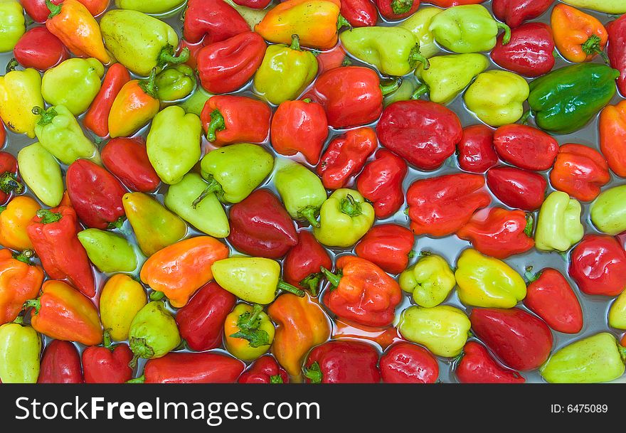 Background with many colored sweet peppers in water