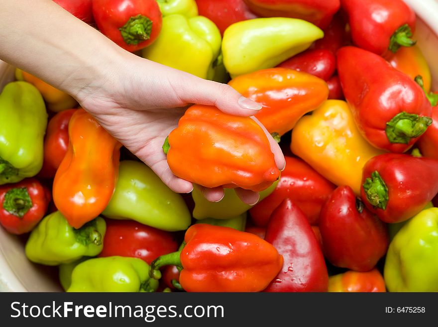 Many colored sweet peppers with hand