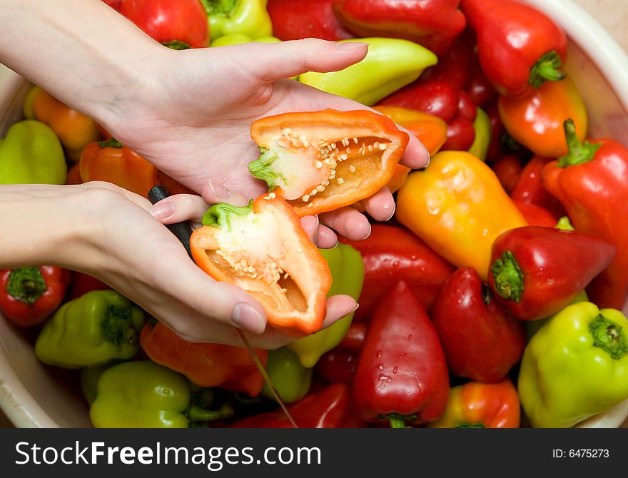 Many colored sweet peppers with hands