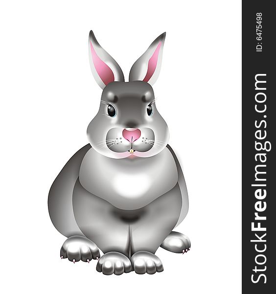 Cute rabbit illustration close-up isolated on white background
