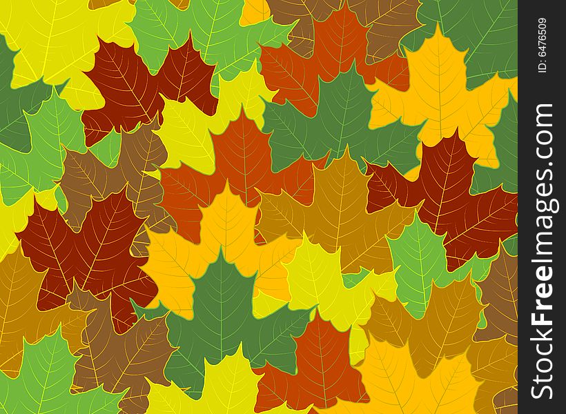 Background with veined maple leaves. Background with veined maple leaves