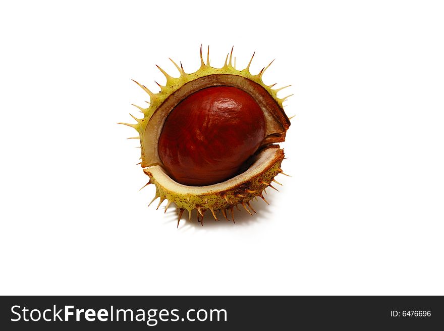 Chestnut isolated on white in the form of eye.