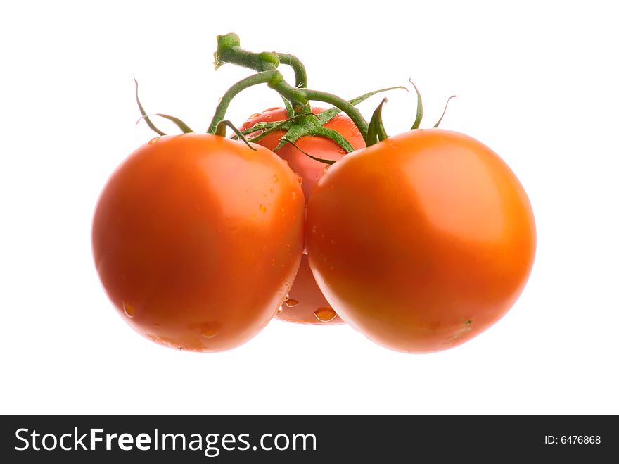 Three tomatoes isolated on white