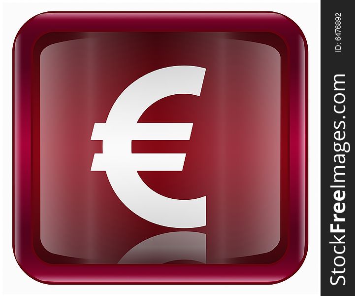 Euro Icon