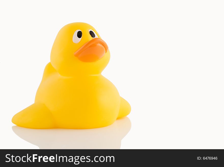 rubber duck to play in the water. rubber duck to play in the water