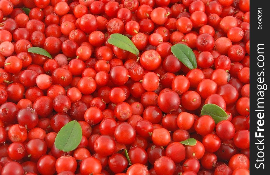Ripe red cowberries with small green lief. Ripe red cowberries with small green lief