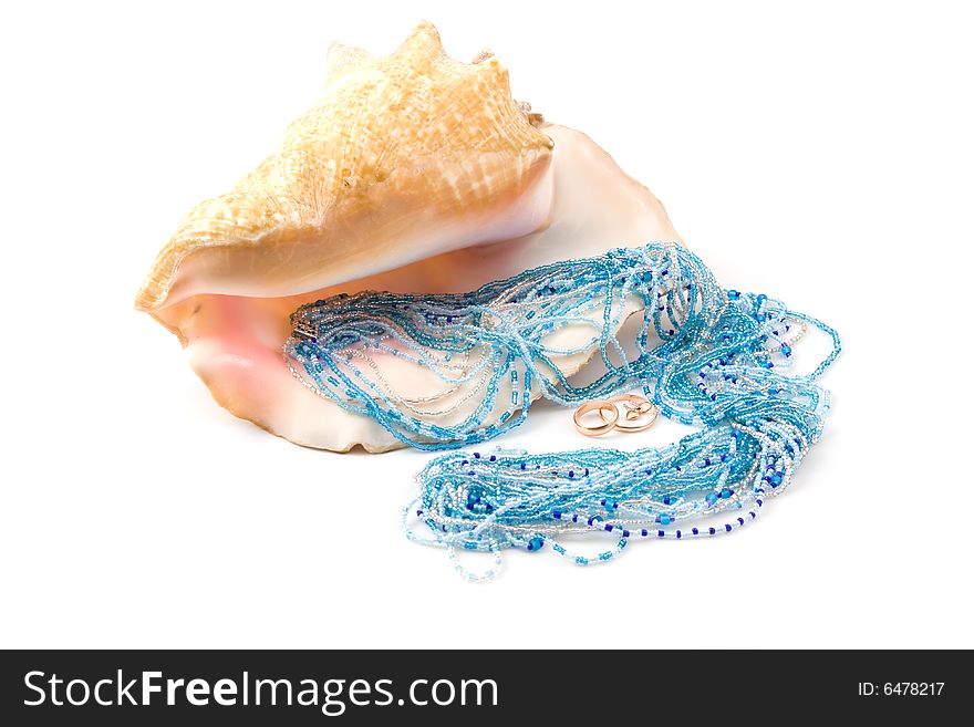 Seashell  and decorations on a white background