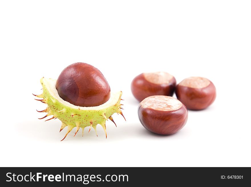 Chestnuts isolated on a white background