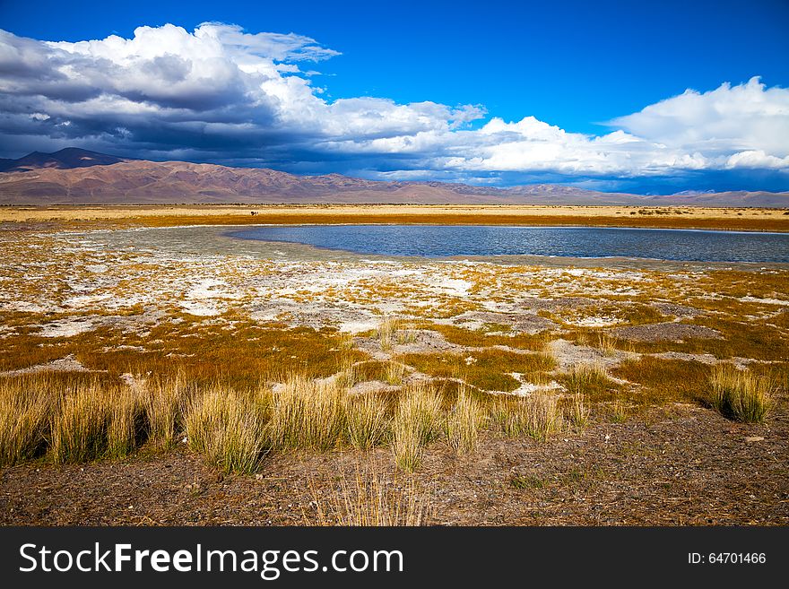 Lake in bright multi-colored steppe, mountains and blue sky in the background