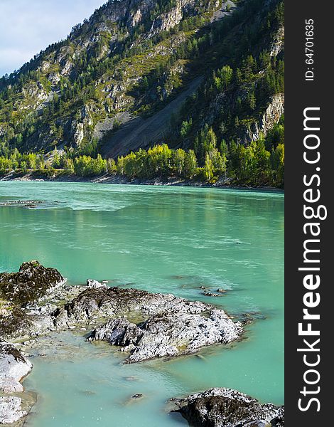 Vertical view of the rocks on the turquoise river bottom flowing between the rocks of the mountains, Katun river, Altai Mountains, Russia