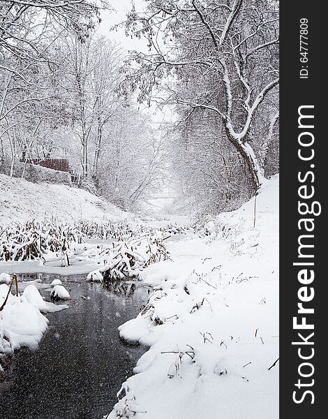 Snowing over a small winter stream, with reeds covered in snow, edged by snow-covered trees and a small wooden fence that reveals the presence of civilisation. Snowing over a small winter stream, with reeds covered in snow, edged by snow-covered trees and a small wooden fence that reveals the presence of civilisation.