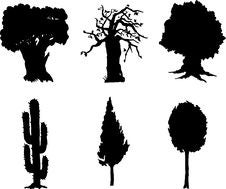 Set Isolated Trees - 12 Stock Photography Set Isolated Trees - 12 Stock Photography