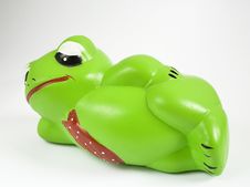 Lazy Frog Royalty Free Stock Photography