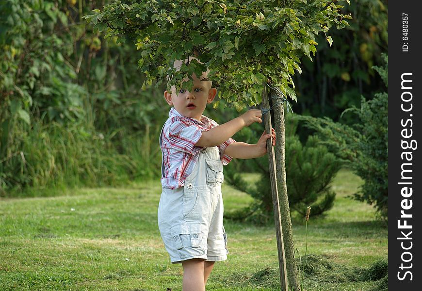 Boy staying under currant bush. Boy staying under currant bush