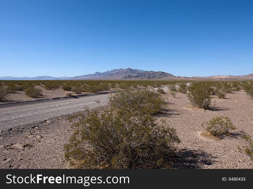 Road in Nevada desert with green bushes. Road in Nevada desert with green bushes