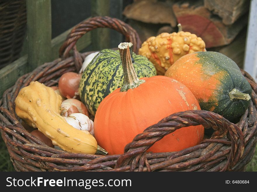 A lot of colorful pumpkin in a crate. A lot of colorful pumpkin in a crate.