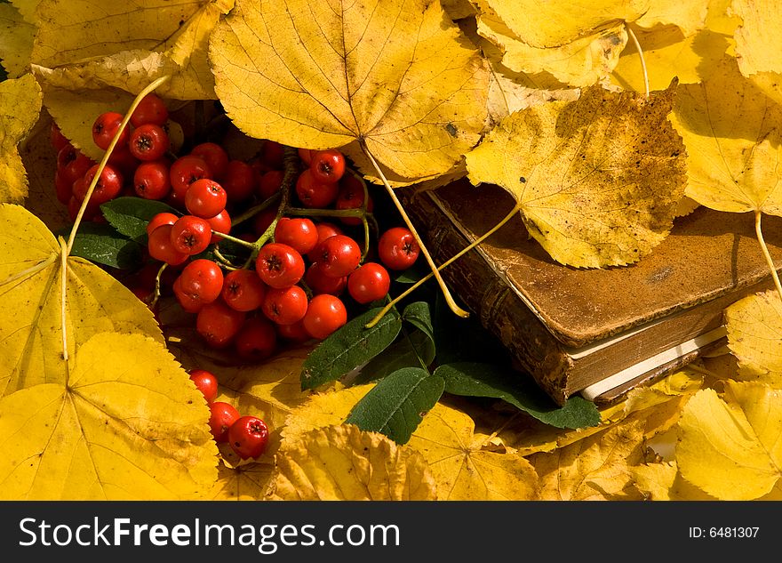 Very old book in autumn surrounding. Very old book in autumn surrounding