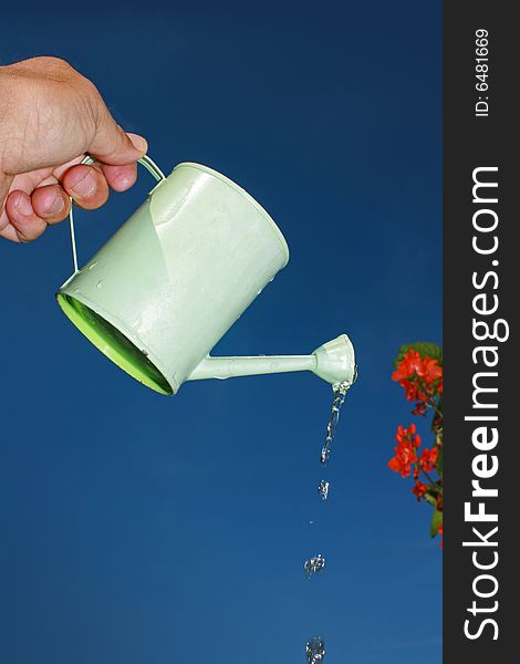 A small hand held watering can being held aloft against an urban garden scene.Water emerging from spout of watering can. Portrait format. A small hand held watering can being held aloft against an urban garden scene.Water emerging from spout of watering can. Portrait format.