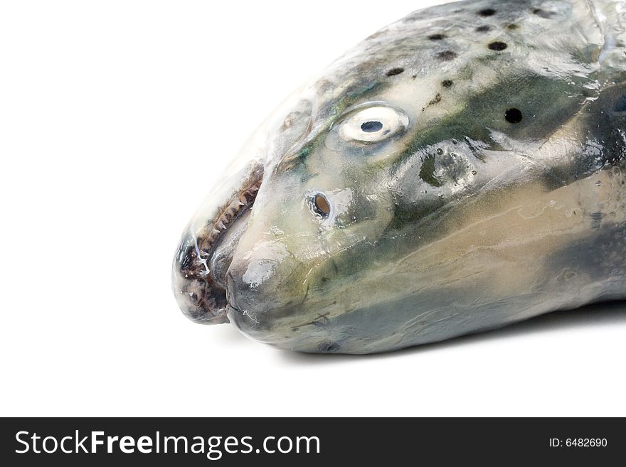 Fresh raw salmon on a white background. Fresh raw salmon on a white background