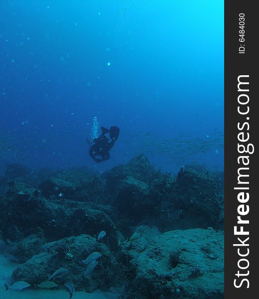 This diver is swimming to the United Caribbean about 65 feet in Pompano beach, Florida. This diver is swimming to the United Caribbean about 65 feet in Pompano beach, Florida