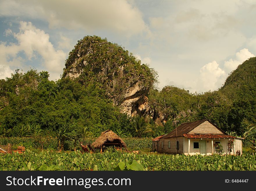 A cottage in The Vinales Valley