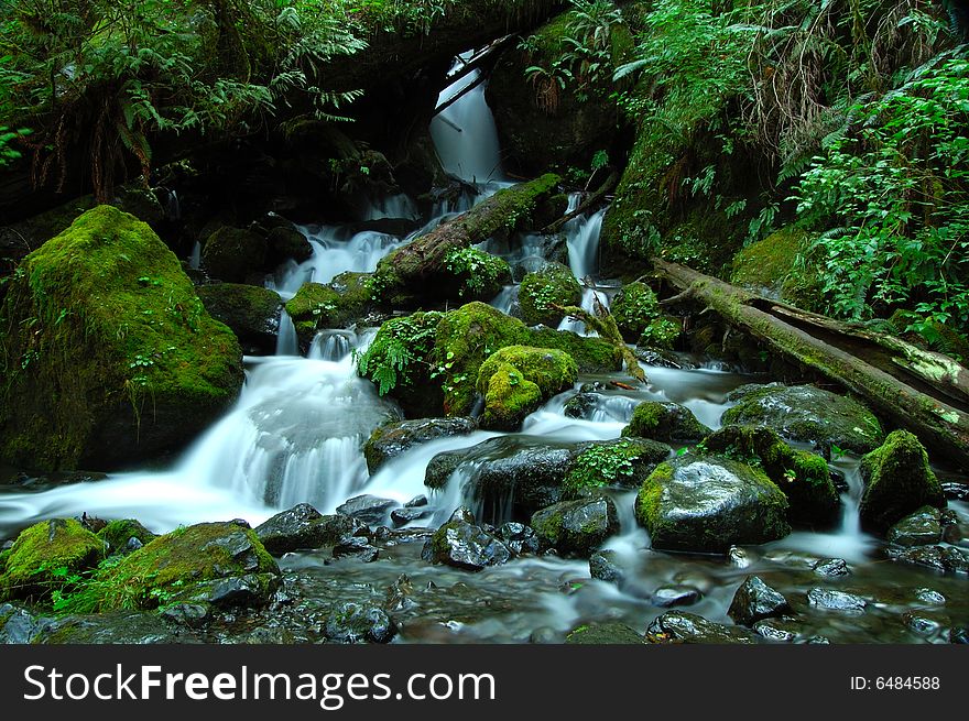 A silky waterfall in the Olympic forests. A silky waterfall in the Olympic forests