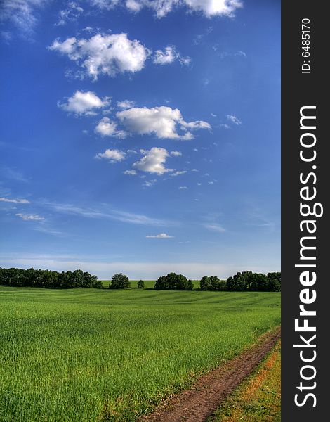 Beautiful green field with blue sky