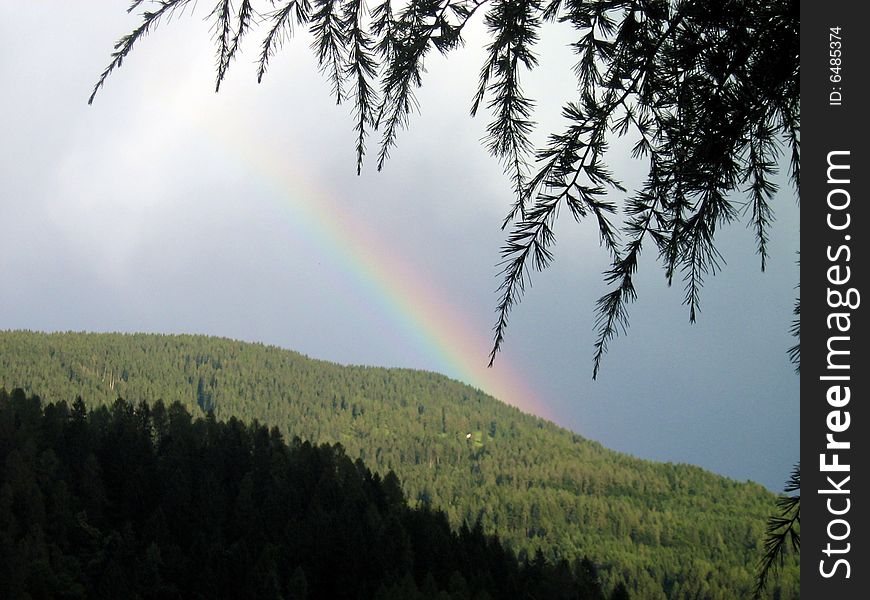 Pretty rainbow on the mountains with trees