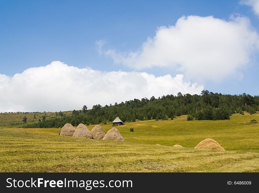 Idyllic Meadow On A Spring Day