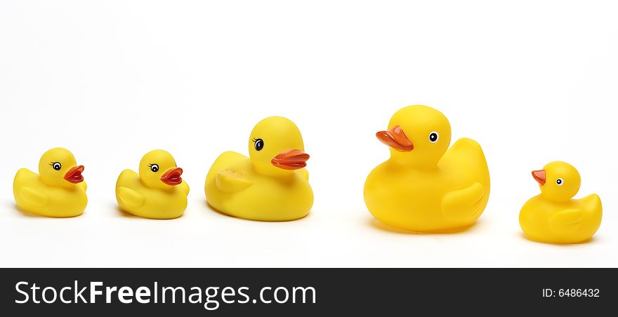 Isolated photo of some funny yellow ducks. Isolated photo of some funny yellow ducks