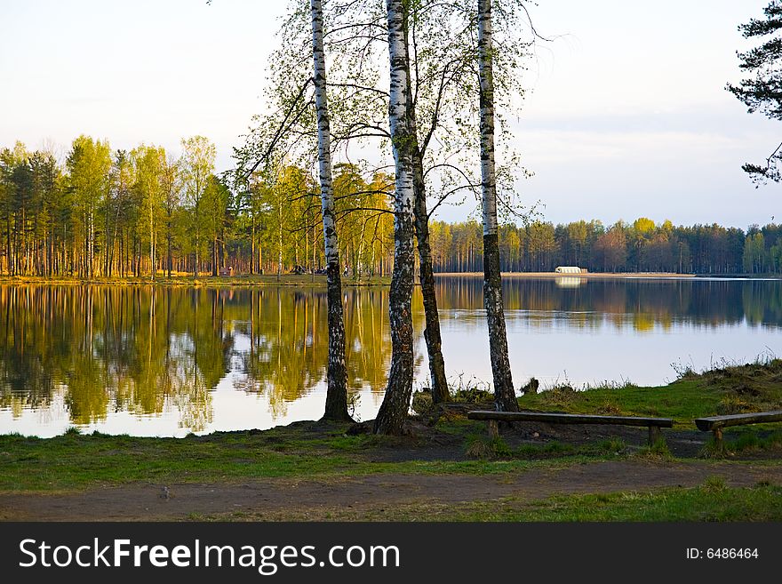 He lake in a pine forest. North Russia. He lake in a pine forest. North Russia