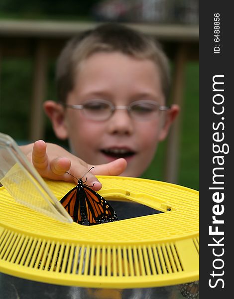 Young boy helping a butterfly emerge from its cage, shallow dof. Young boy helping a butterfly emerge from its cage, shallow dof