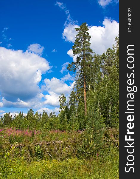 North land country landscape in Russia. North land country landscape in Russia