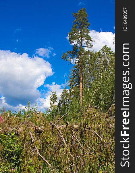 North land country landscape in Russia. North land country landscape in Russia