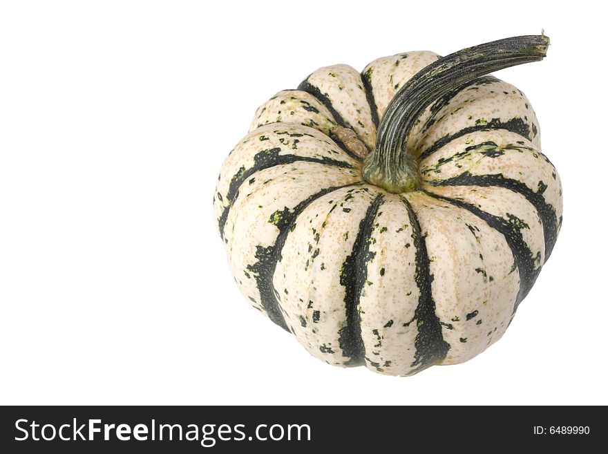 Single pumpkin on white background