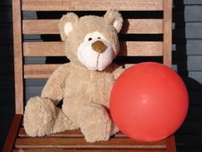 Toy Teddy Bear Stock Photos