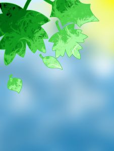 Summer Leaves Background Stock Images Summer Leaves Background Stock Images