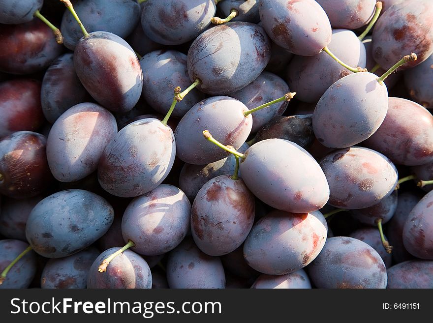 Just picked-up fresh plums