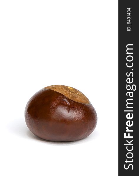 Chestnut