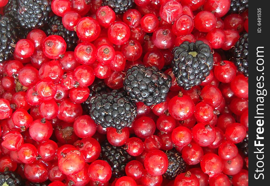 Mix of red currant and blackberries. Mix of red currant and blackberries