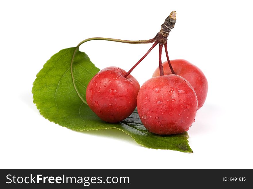 Paradise apple (Malus pumila) and leaf. Isolated images